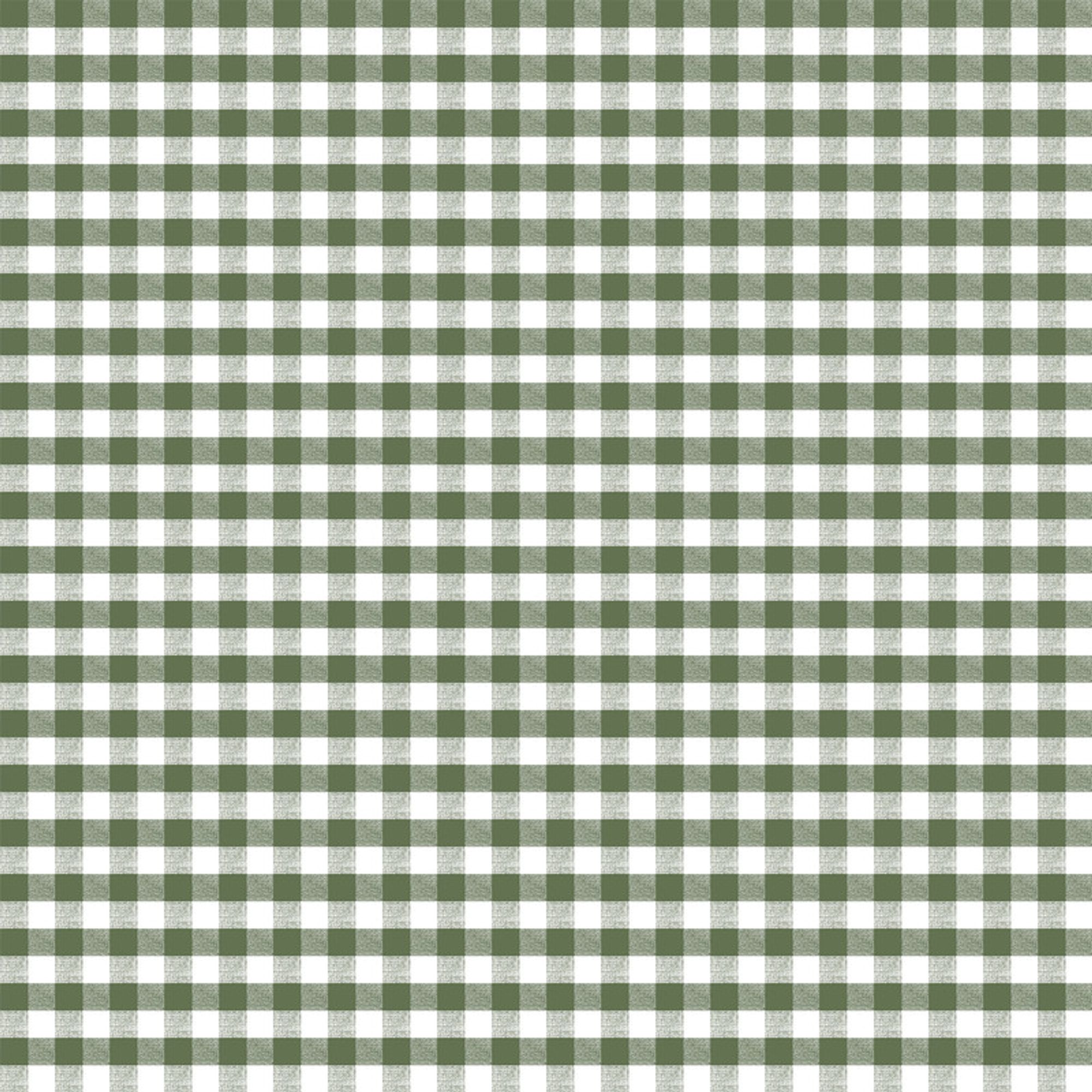 MANTEL HULE VICHY VERDE 300X140 - Imagen 5